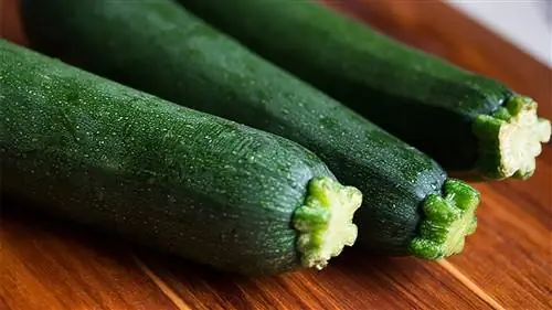 Когда собирать урожай и как хранить кабачки?