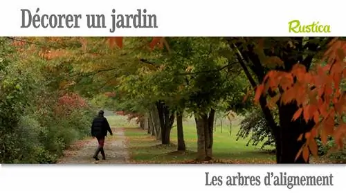 Деревья выравнивания