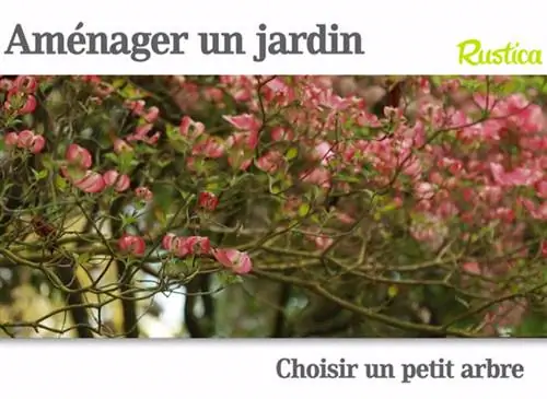 Выберите маленькое дерево