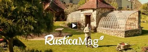 Успешная обрезка крупноцветковых кустовых роз