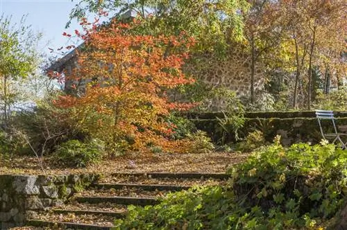 Les Jardins en Marche, детская комната, которая движется вперед