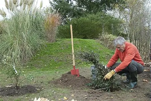 Посадите кустарник. Выбирайте кустарник в зависимости от экспозиции