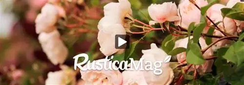 Добейтесь успеха в розарии