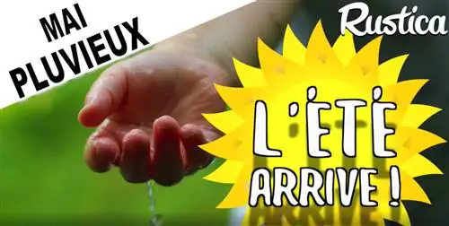 Работа в саду после дождливого мая