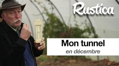 В декабре будут проведены работы под туннелем