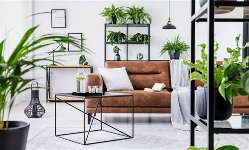 3 совета, как сохранить здоровье растений во время вашего отсутствия