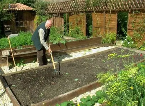 Что посеять на огороде в сентябре: правильный выбор