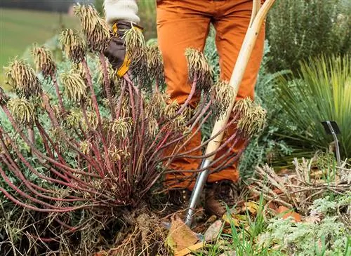 Уход и генеральная уборка в саду