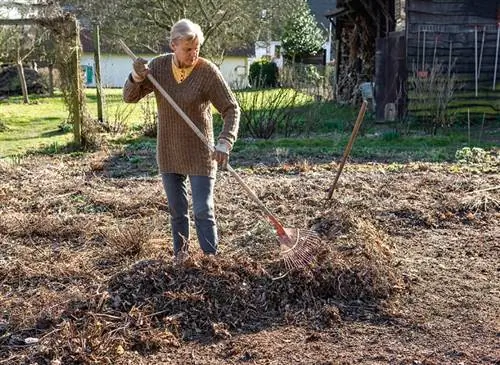 Мульча из листьев для защиты на зиму