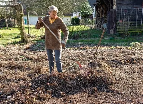 Конец зимы: итоги почвопокровных