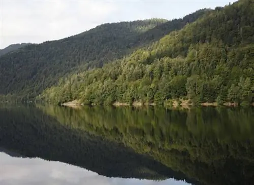 Чем заняться в сентябре в саду в горном климате?