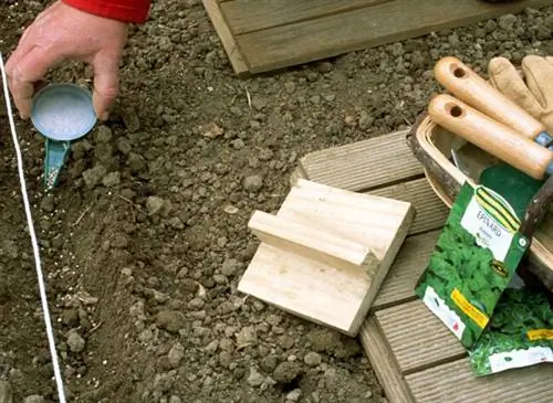 Рядовой посев шпината