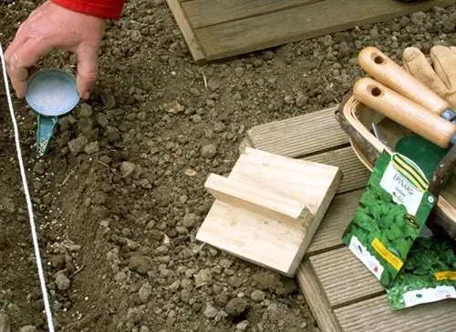 Что делать в августе в саду в горном климате?