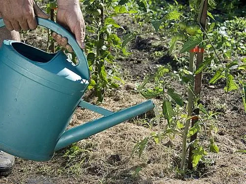 Добрые жесты в саду и на балконе в жаркую погоду
