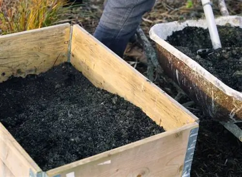 Правильный субстрат для успешного выращивания на огороде