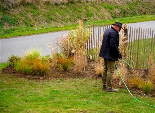Какие инструменты выбрать для посадки грядки осенью?