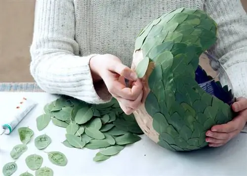 коллаж из листьев эвкалипта
