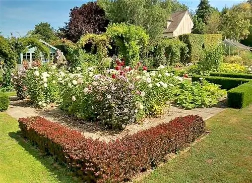 Установите цветы, чтобы украсить огород