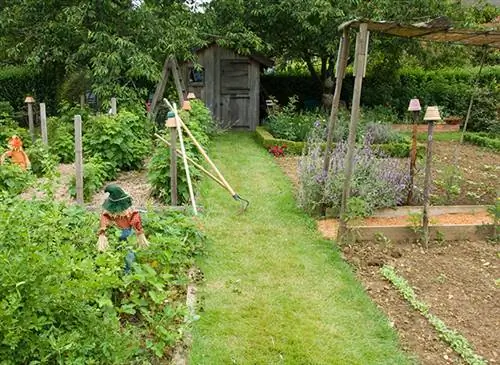 Огород: травяная дорожка, грунтовая дорожка между растущими грядками, чучело и садовый сарай.