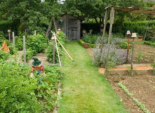 В огороде: создайте дорожки между рядами овощей