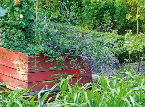 Граница коробочной версии