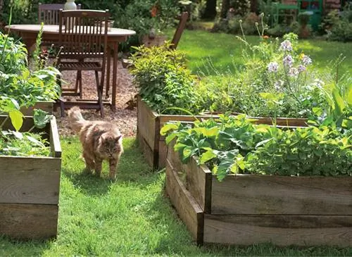 Овощи в квадратах: огороды в квадратах