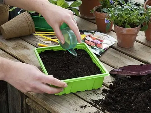 Посев в террин