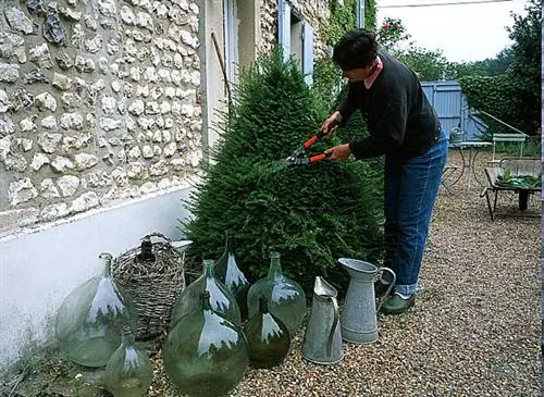 Спиральная талия