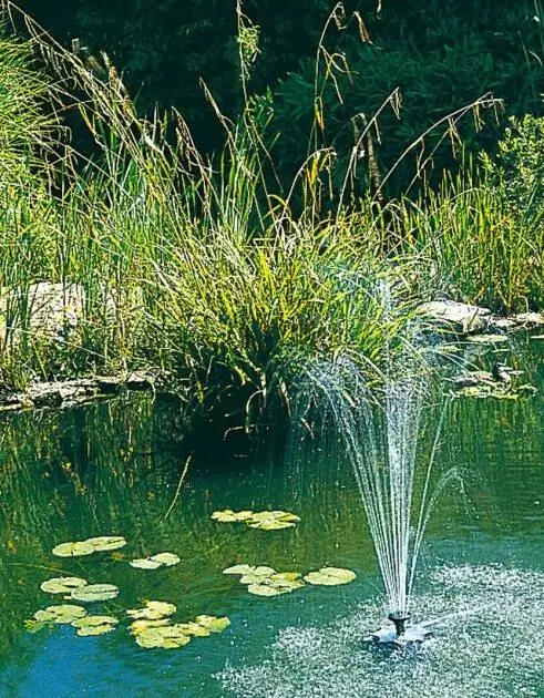 Улучшить качество прудовой воды