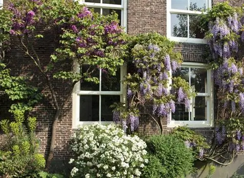 Красивый фасад круглый год - Garden of Anky and Arnout Dwarshuis (NL)