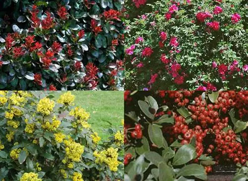 Защитная изгородь