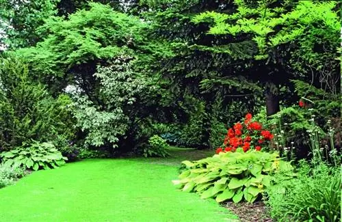 Для каждого использования свой газон