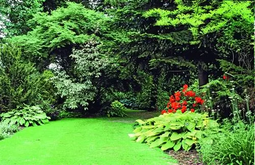 В каждом саду есть свой газон