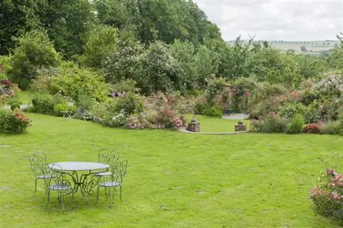 Ваш газон в деталях: какие семена выбрать