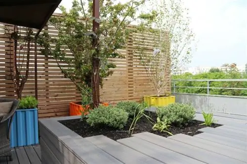 посадка на террасе