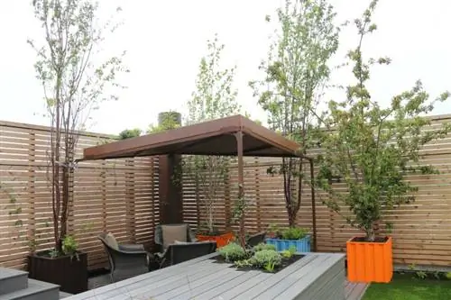 беседка и деревья, посаженные на террасе