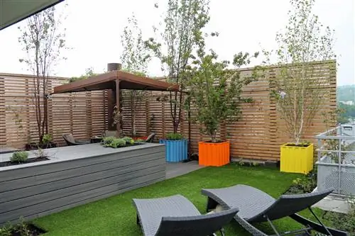 Сажайте деревья, чтобы на вашей террасе появился лес