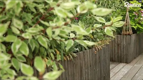 Как разместить растения на террасе?