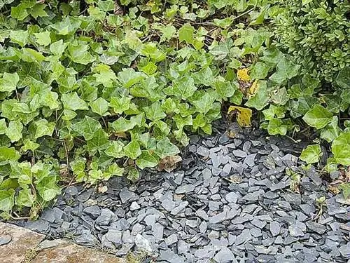 Ф. Марре - Сады мира - Сука