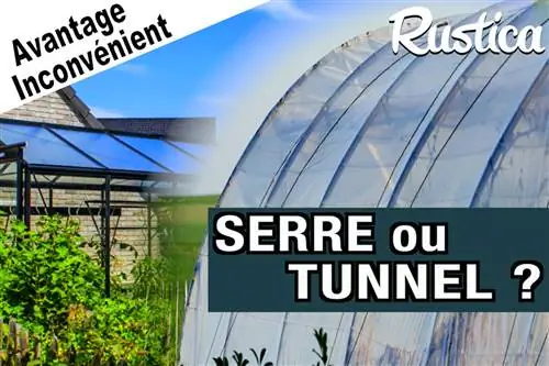 Выбор между туннелем и теплицей в саду