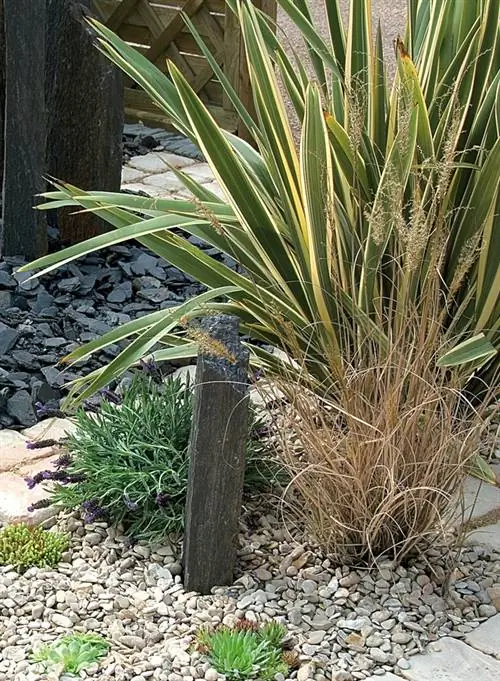 Создайте атмосферу пустыни