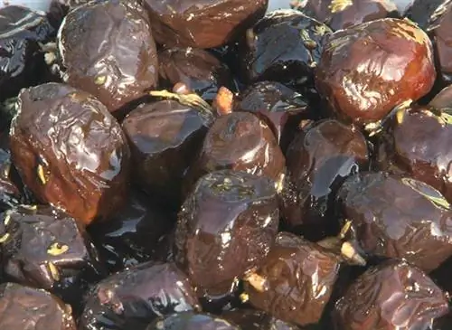 Черная оливка из Ньона