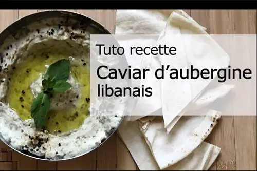 Как приготовить ливанскую икру из баклажанов