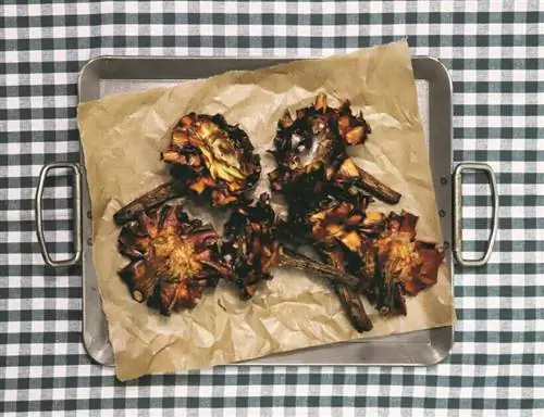 carcioffi alla giuda еврейский артишок большая мама carcioffi alla giuda еврейский артишок большая мама