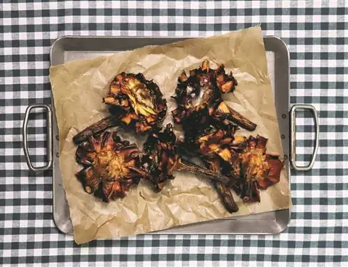 Рецепт Carciofi alla giuda: жареные артишоки по-римски