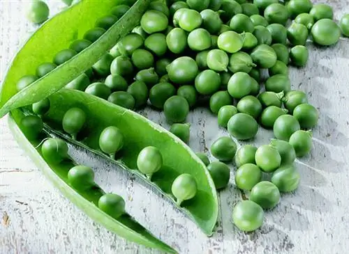 Горох очистить от скорлупы