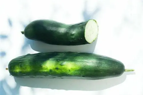 Огурцы с брендадом