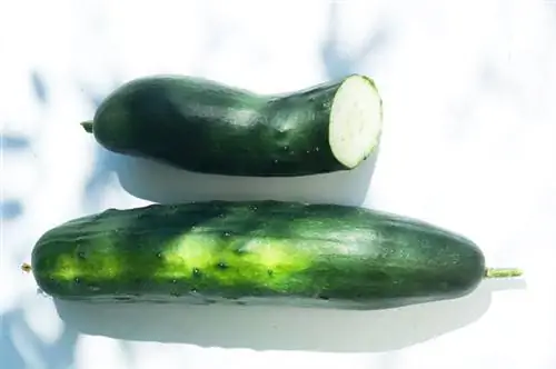 Огурцы с брендидом