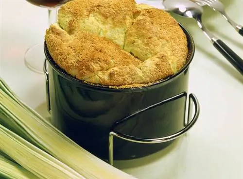 Х. Йеру - АПРИФЕЛЬ/ИНТЕРФЕЛЬ