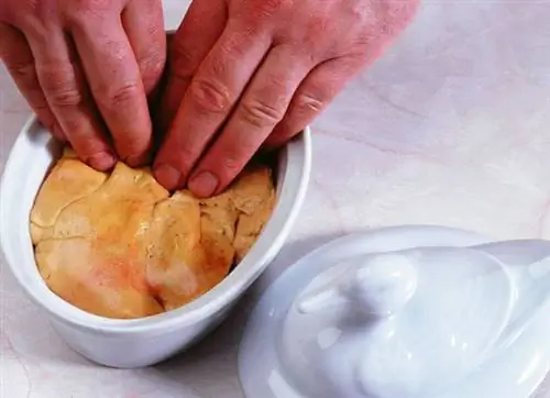 Полуфабрикат из утиной фуа-гра